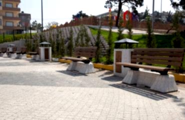 karoların-ozellikleri